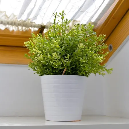 Appartamento Plaza Mayor Centro - Familiar-sin Ruido-wifi-ascensor Valladolid