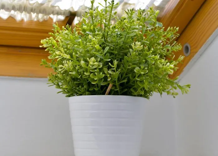 Appartement Plaza Mayor Centro - Familiar-sin Ruido-wifi-ascensor Valladolid